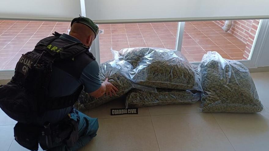 Detenido en Orihuela Costa con 27 kilos de cogollos de marihuana