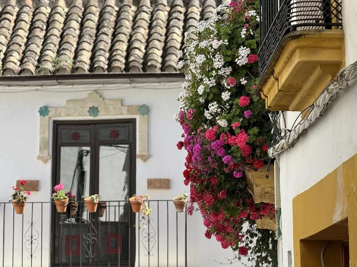 Concurso de Rejas y Balcones