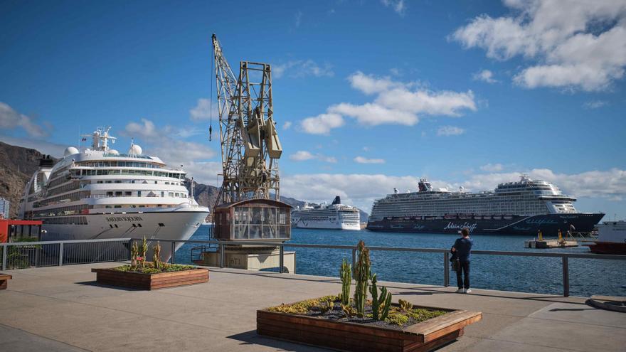 Pedro Martín propone ampliar el horario de inspección en el puerto de Santa Cruz