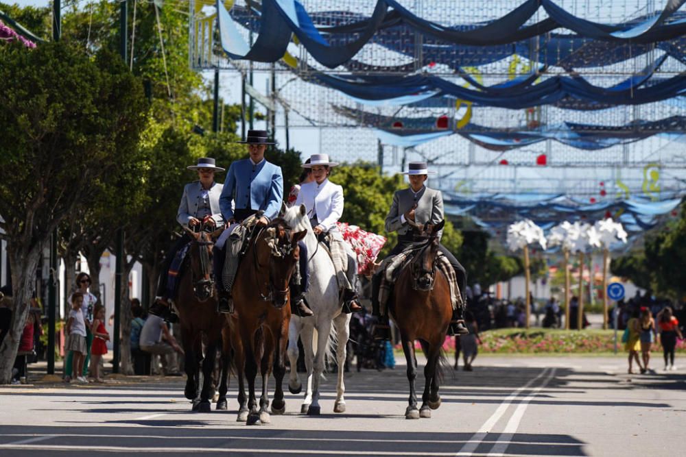 Primeros caballos en el Cortijo de Torres