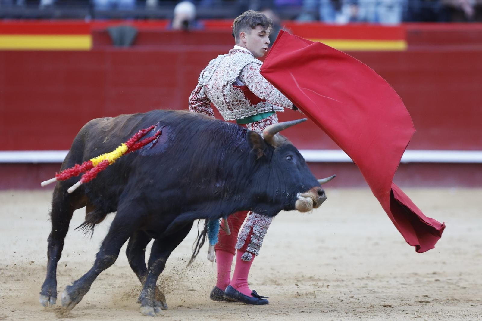 La novillada sin picadores de la Feria de Fallas, en imágenes