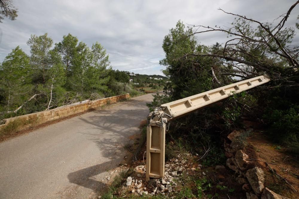 El viento entró por ses Variades y se cebó sobre todo en las zonas de Cala Gració y Can Coix hasta disiparse ya cerca de Santa Agnès