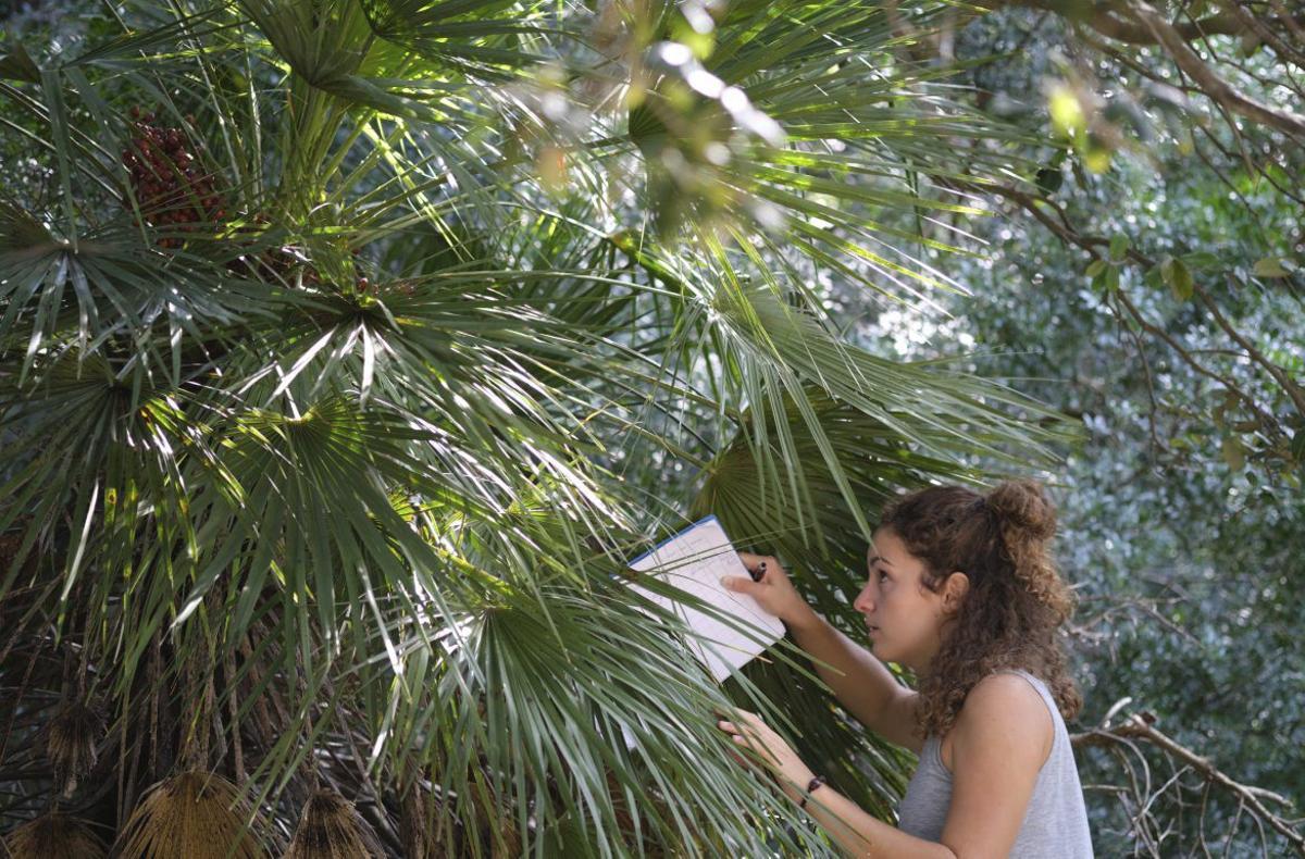 Raquel Muñoz realizando trabajo de campo.