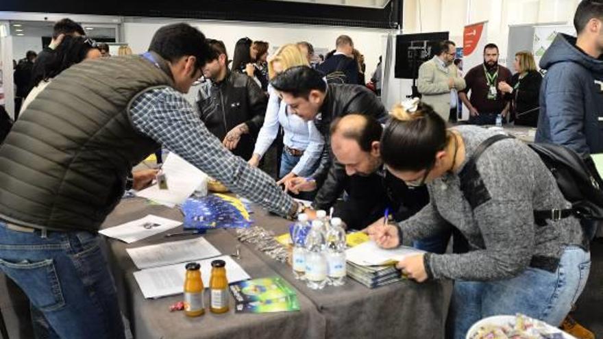 Participantes de un foro de empleo en el Centro de Congresos de Elche, en imagen de archivo.