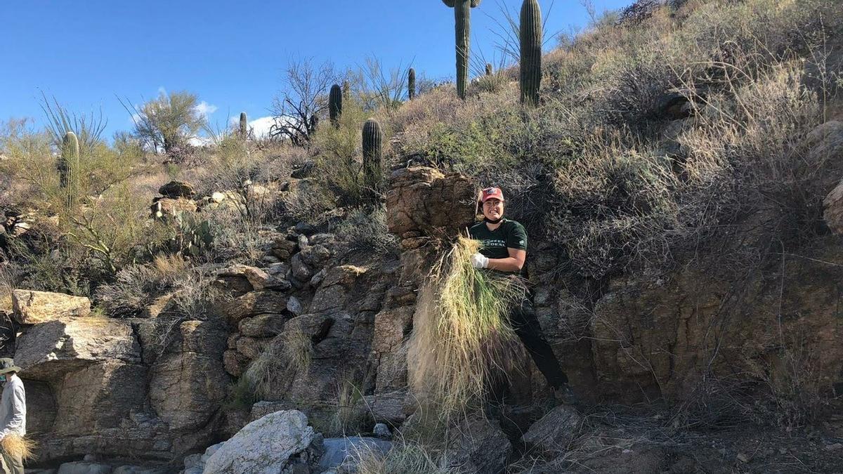 Mery realizando trabajo de campo