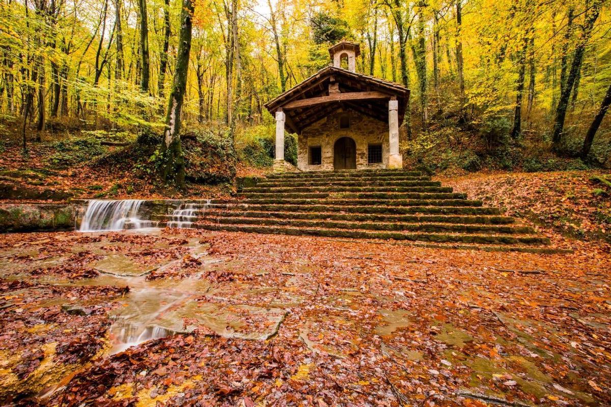 Bosque en otoño, pueblos más bonitos en otoño