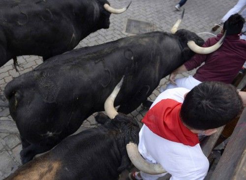 SEGUNDO ENCIERRO CON TOROS DE LA GANADER?A DE DOLORES AGUIRRE YBARRA