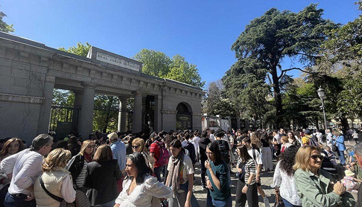 Archivo - Visitantes en el Real Jardín Botánico