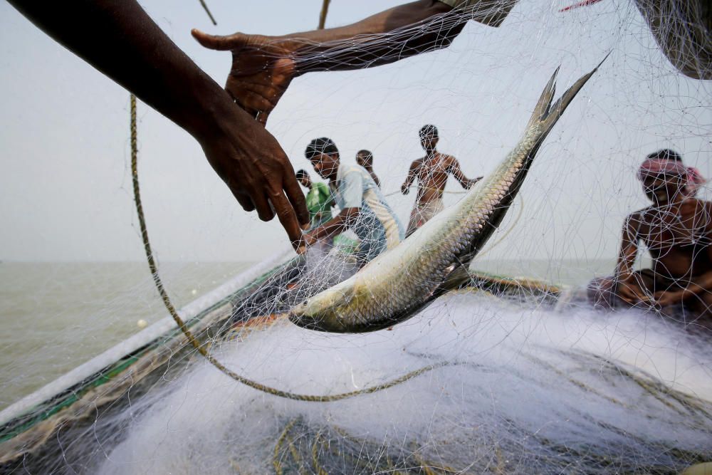 The Wider Image: Villagers fear for survival on ...