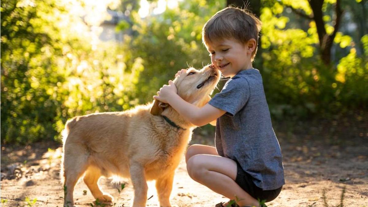 A Catalunya ja hi ha més mascotes que nadons: els experts alerten d'aquest canvi demogràfic