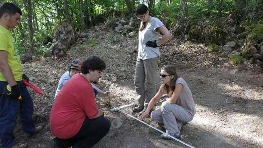 Inicio de las nuevas excavaciones.