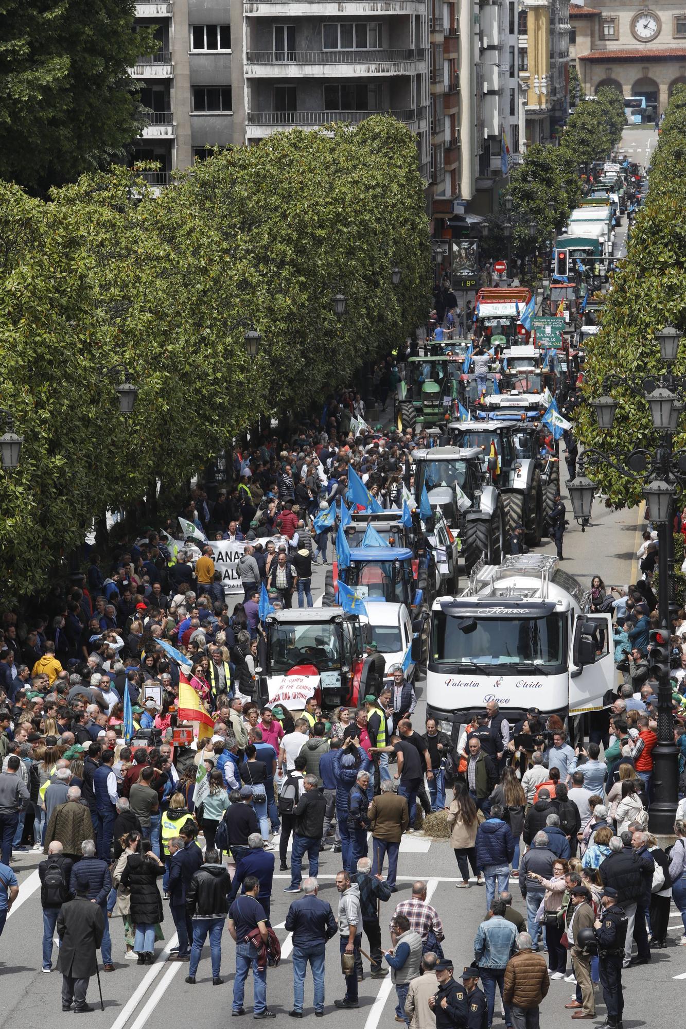 EN IMÁGENES: Así fue la tractorada de protesta del campo asturiano en Oviedo