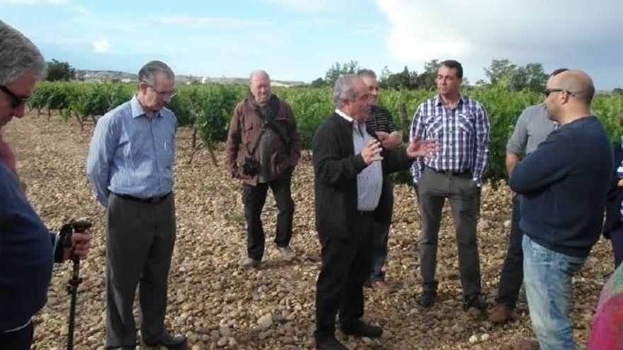 Un grupo de sumilleres recibe explicaciones sobre las variedades y características del vino de la DO Toro.