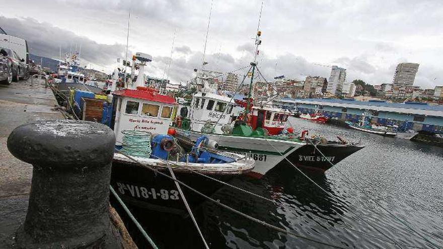 Buques de cerco amarrados en el puerto de Vigo. // Jorge Santomé