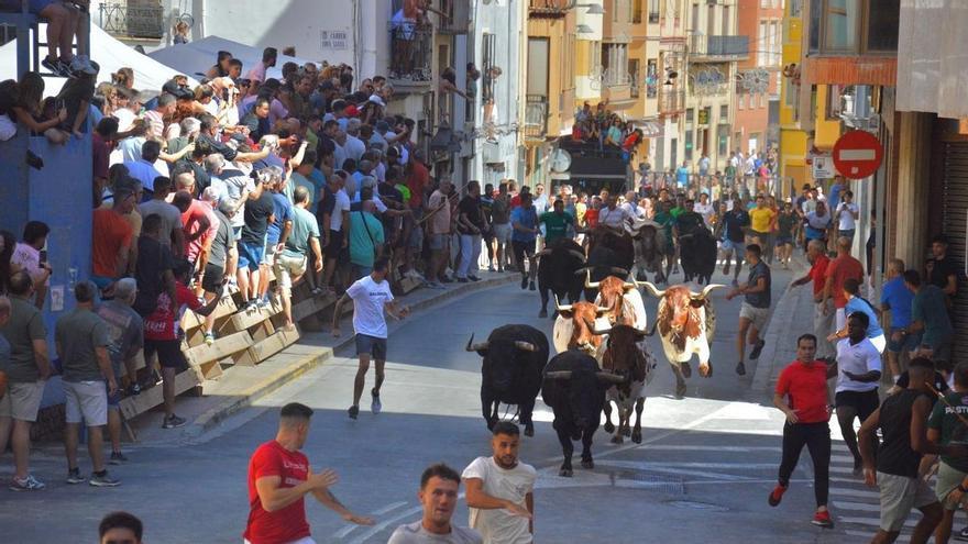 L'Alcora profite d'un encierro nombreux et coloré de Domínguez Camacho