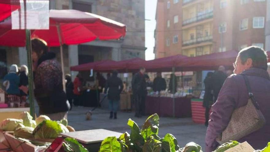 Celebración del mercado ecológico en la plaza de la Constitución.