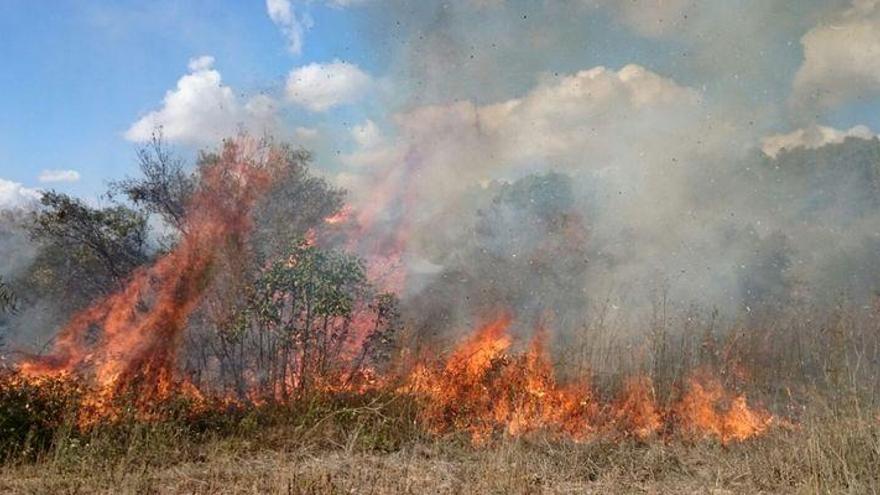 Matet, Jérica y La Salzadella afectados por incendios de vegetación