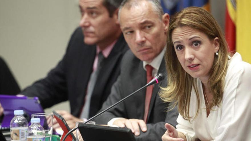 La consejera de Hacienda Rosa Dávila ayer en el Parlamento.