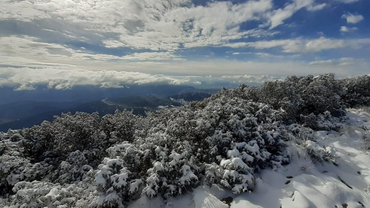 Sierra Espuña nevada