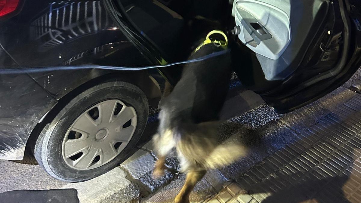Kosmos descubrió en seguida la droga que estaba oculta en el coche