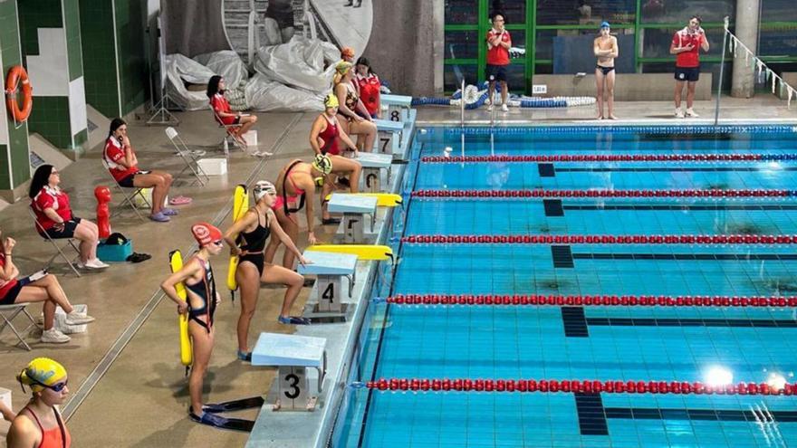 El Pabellón de Los Remedios acogió la cita. |  FdV