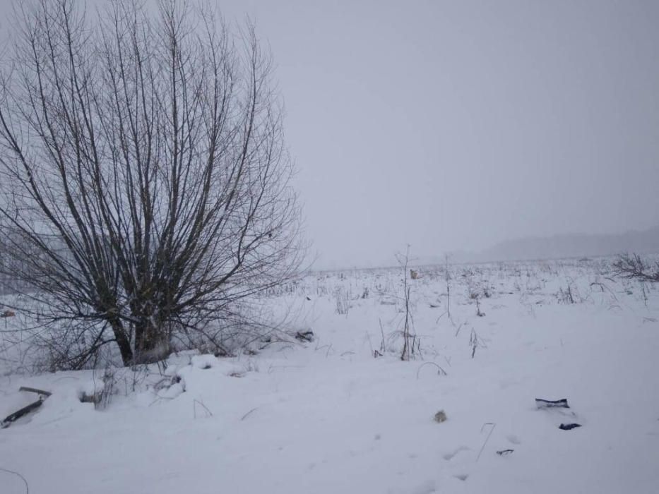 Un accidente de avión deja 71 muertos en Moscú