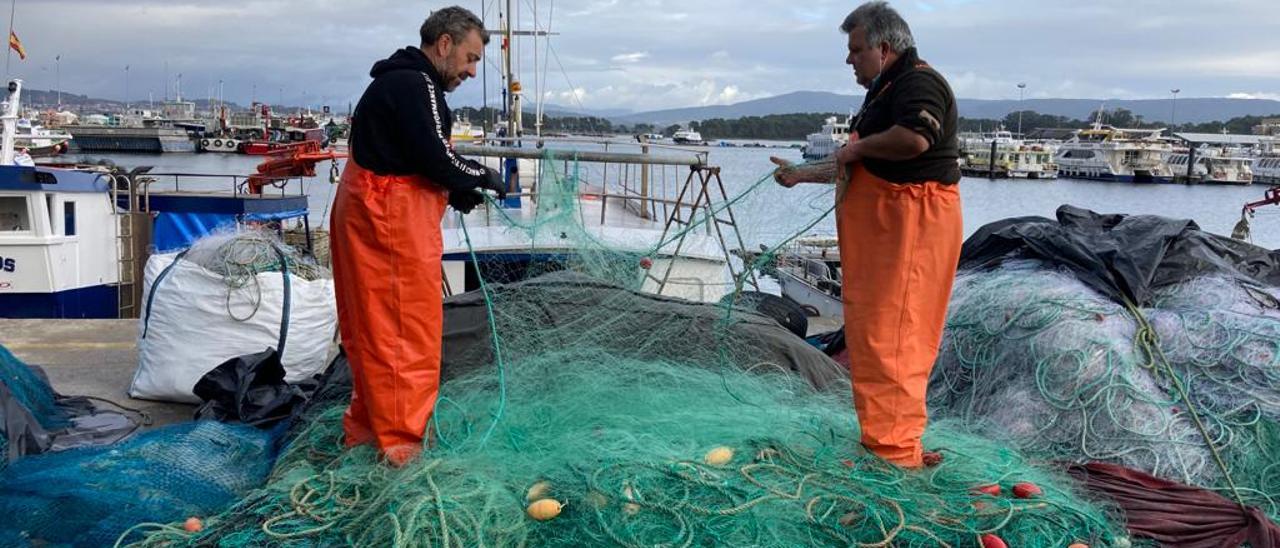 La preparación de los miños en el puerto de O Grove, en la campaña anterior.