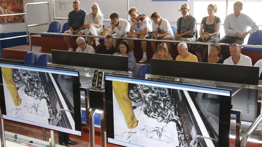 Maritimes Palma entdecken: So war der MZ-Ausflug zur Fischhandelsbörse und zum Leuchtturm von Porto Pi