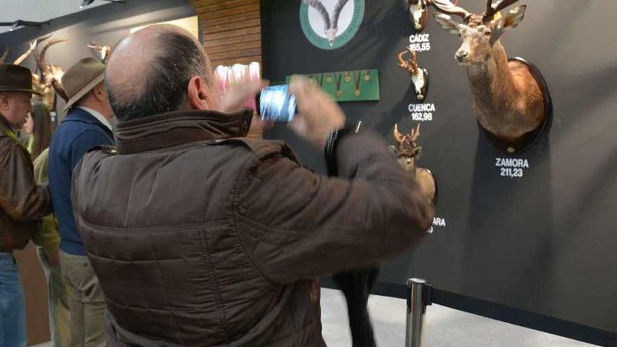 Un grupo de personas observa el ciervo cazado en Zamora y expuesto en Madrid.