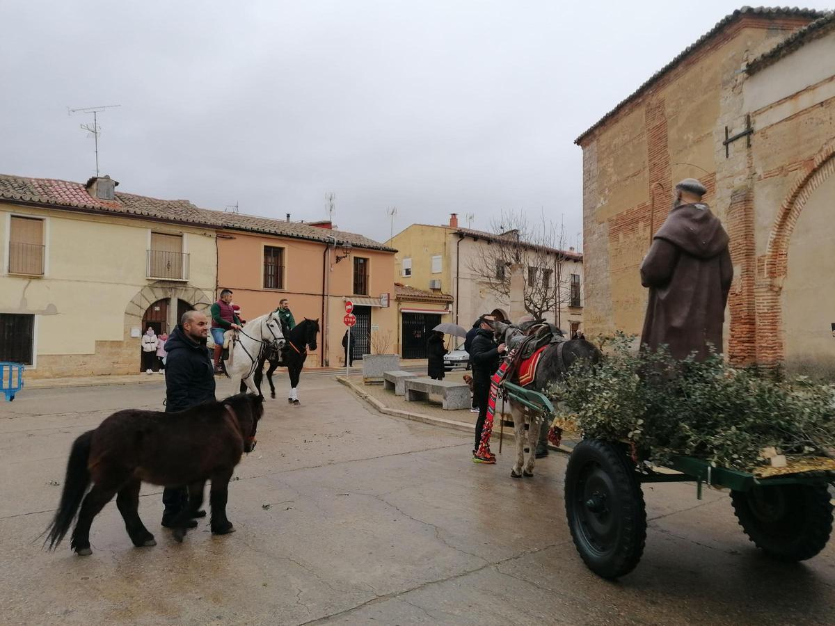 GALERÍA | San Antón procesiona por primera vez en Toro