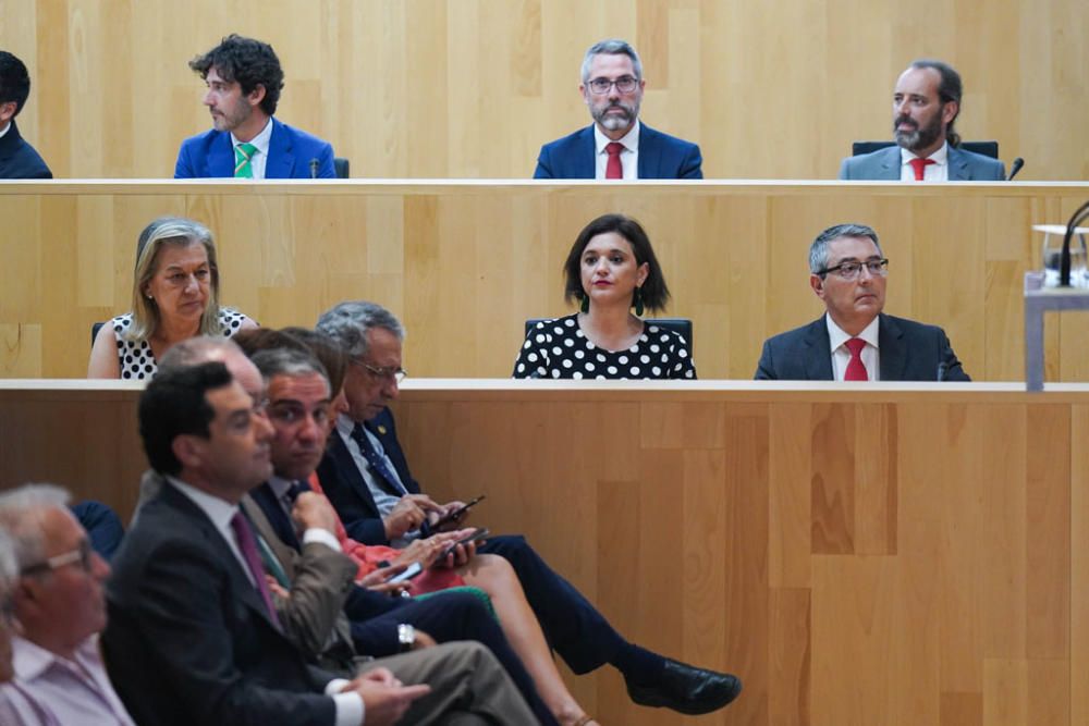 El candidato propuesto por el Partido Popular, Francis Salado, ha sido elegido este miércoles como presidente de la Diputación de Málaga en el transcurso del pleno de investidura.