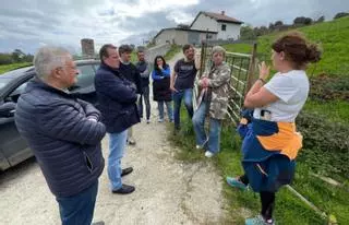 Medio Rural apoya la compra de ganaderías en desuso