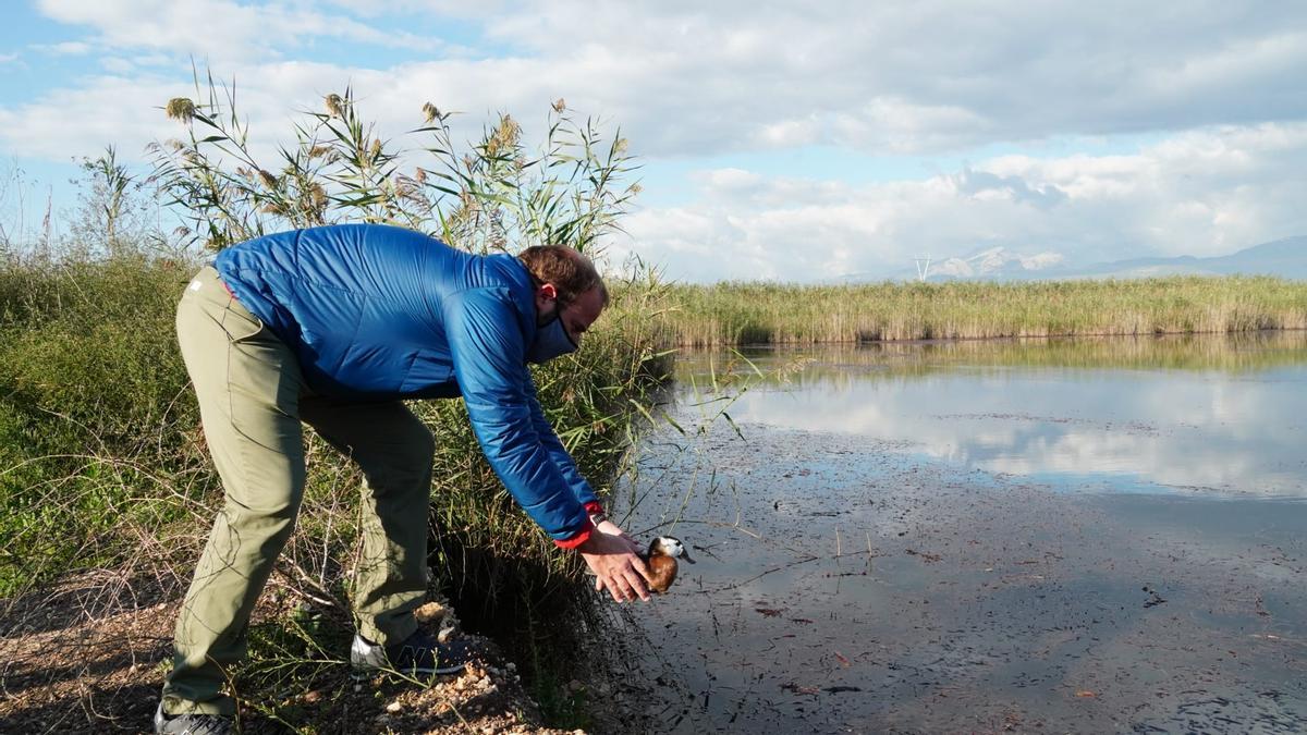 Miquel Mir, conseller de Medio Ambiente y Territorio