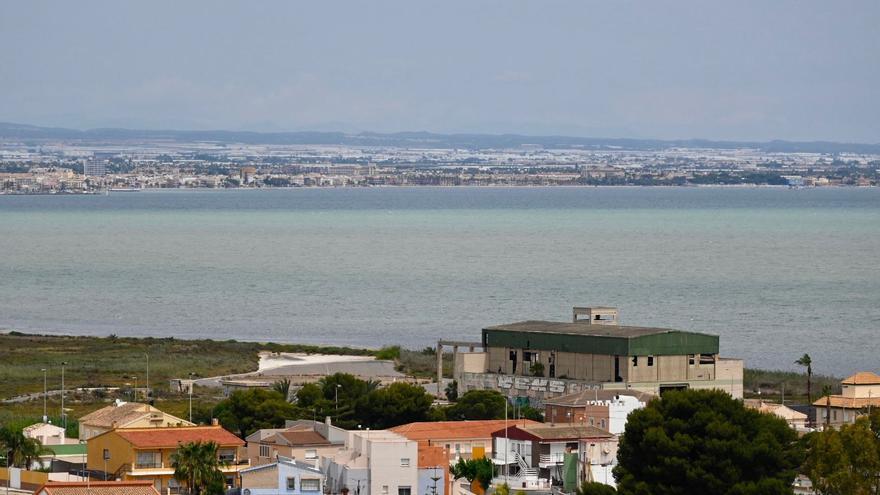 Las caracolas del Mar Menor, un 'centinela' que alerta sobre la  contaminación por metales - La Opinión de Murcia