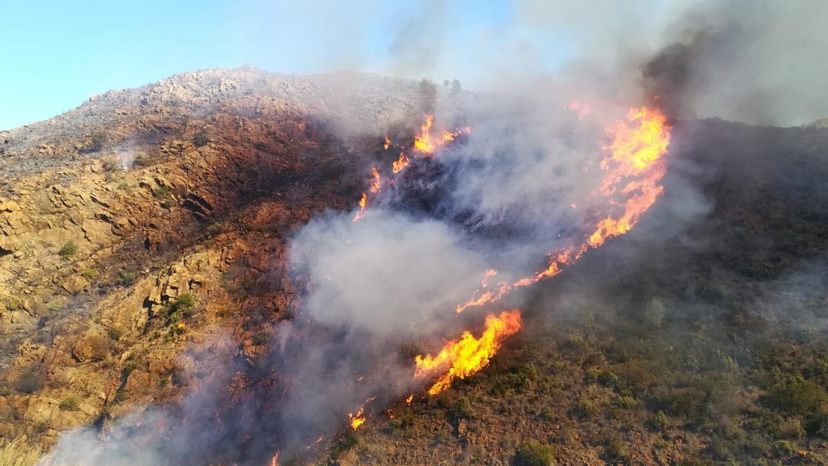 Incendio forestal en Ojén, en el paraje de Cordobachina.