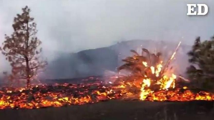 La nueva colada del volcán de La Palma se mueve a 600 metros por hora