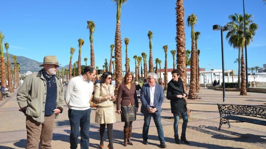 Inaugurado el palmeral de la plaza Teresa Zabell