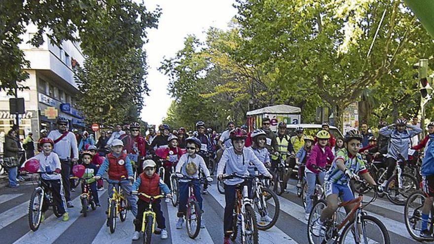 Alcer celebra la V edición de Pedaladas Solidarias