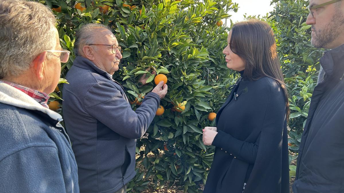 La alcaldesa y los agricultores, durante la visita a los campos de naranjos