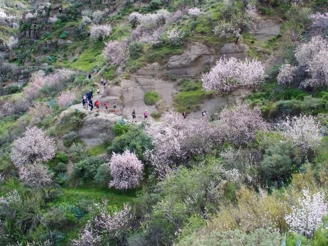 Gran Canaria, vista por Aíto García Reneses