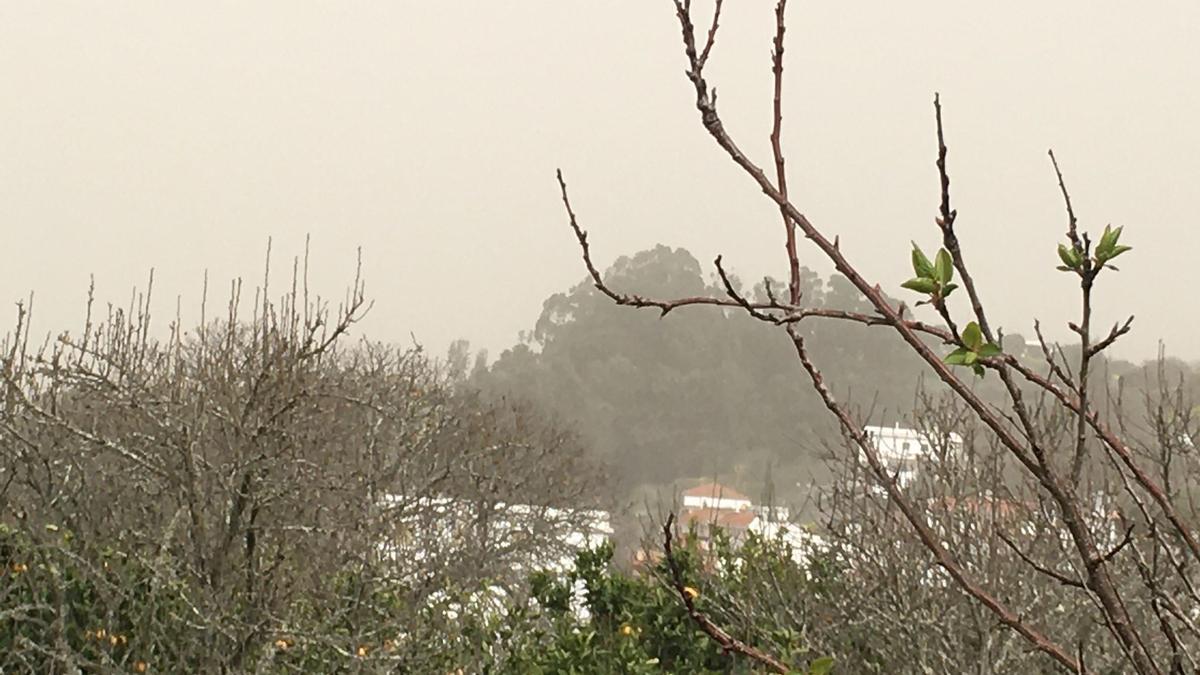 La calima cubre el cielo en Valleseco.