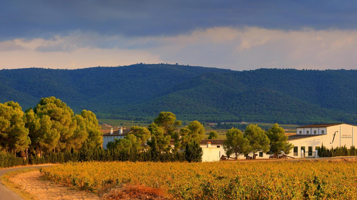 Nueva edición de Vine a Terres