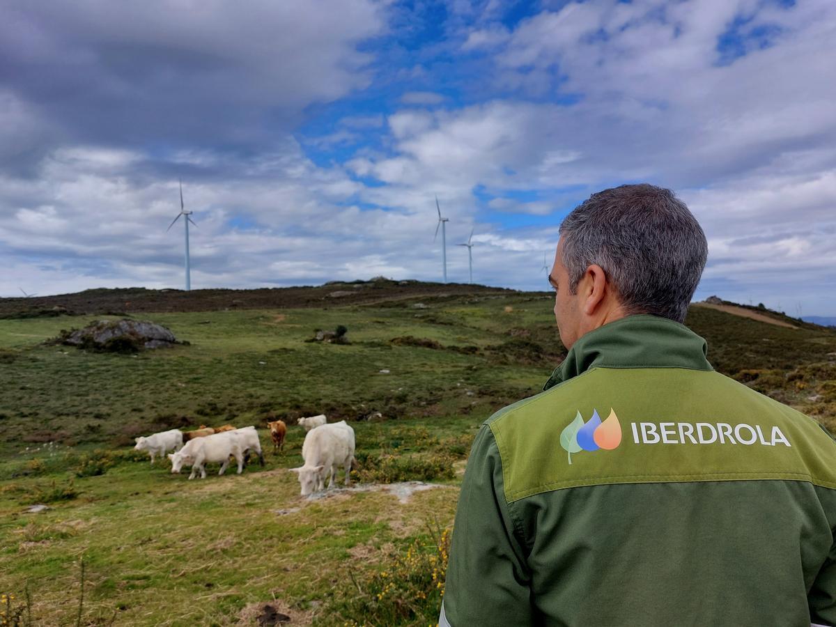 Parque eólico de Forgoselo (Galicia).