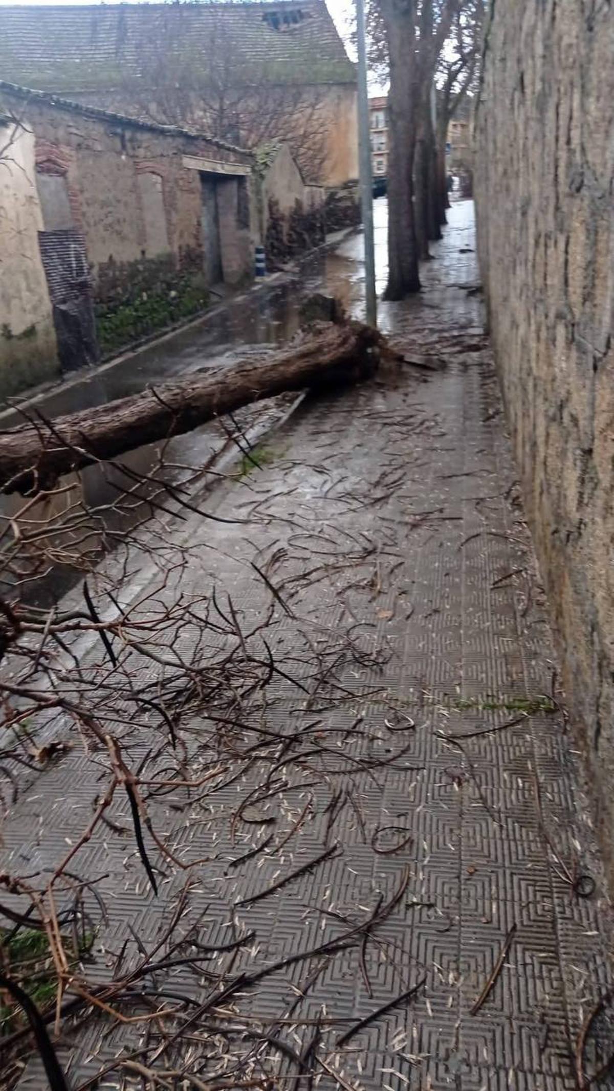 Fotogalería | Un tornado provoca numerosos destrozos en Plasencia Fotogalería | Un tornado provoca numerosos destrozos en Plasencia