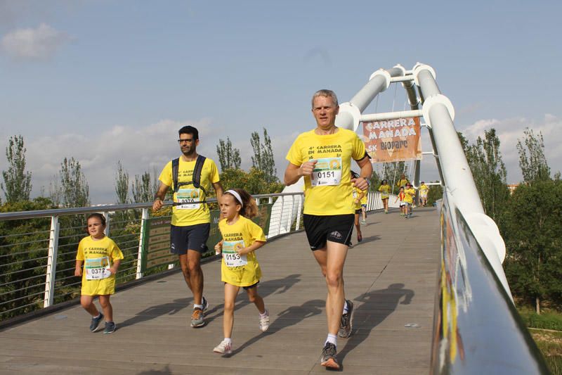 Cuarta Carrera en Manada de Bioparc