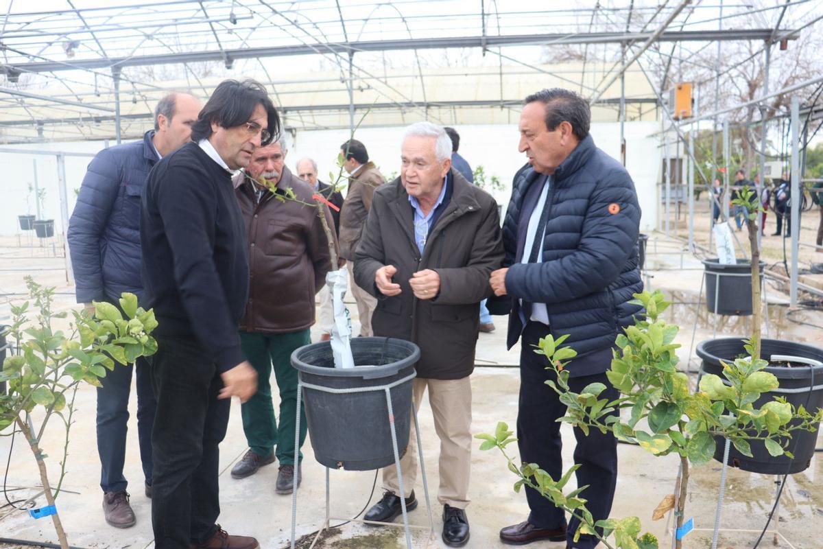 Visita a las instalaciones de investigación del Campus de Desamparados de la Escuela Politécnica Superior de Orihuela de la Universidad Miguel Hernández