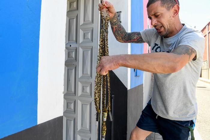 Invasión de moscas en el Barrio de La Cazada