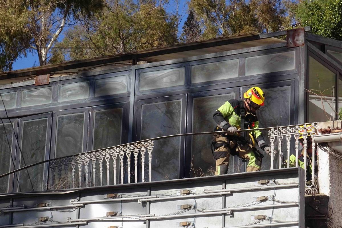 Árbol caído en los Baños del Carmen