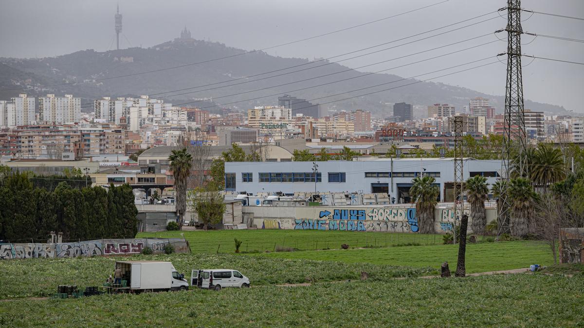 Barcelona 7-04-2022 Barcelona. Terrenos donde construiran un cluster biomedico asociado al hospital de Bellvitge (aparece de fondo en la mayoría de imagenes). Actualmente son campos de cultivo de alcachofas, dónde se encuentran algunas masias que el plan de edificación contempla conservar. AUTOR: MANU MITRU