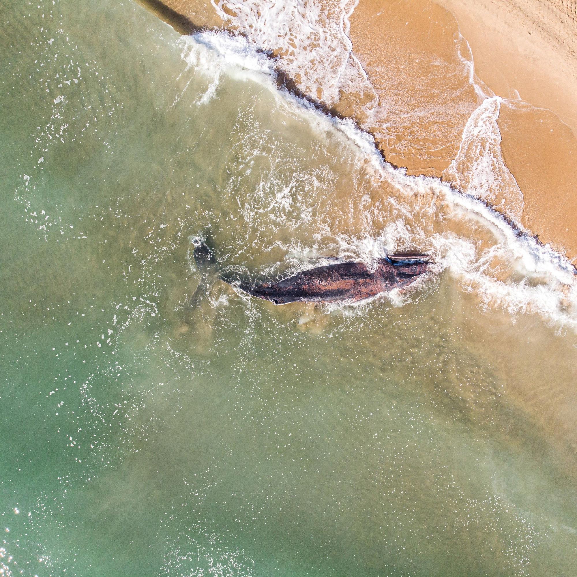 Estas son las fotos ganadoras del Certamen para la Conservación del Mar Balear